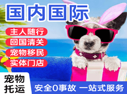 周水子航空空运国际宠物托运 【国